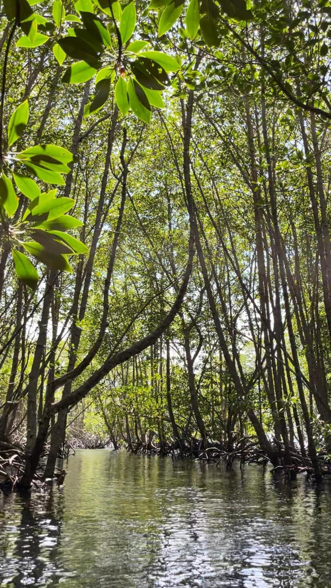 Mangrove Beach Hut Lembongan Exteriör bild